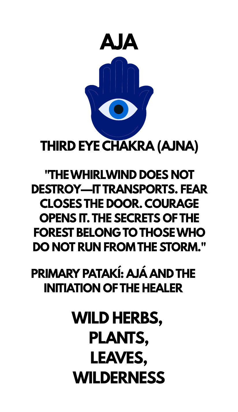 The Orisha Codex - Image 2